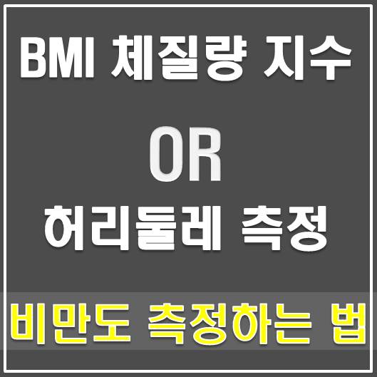  BMI체질량지수, 허리둘레 측정으로 비만도 측정하는 법