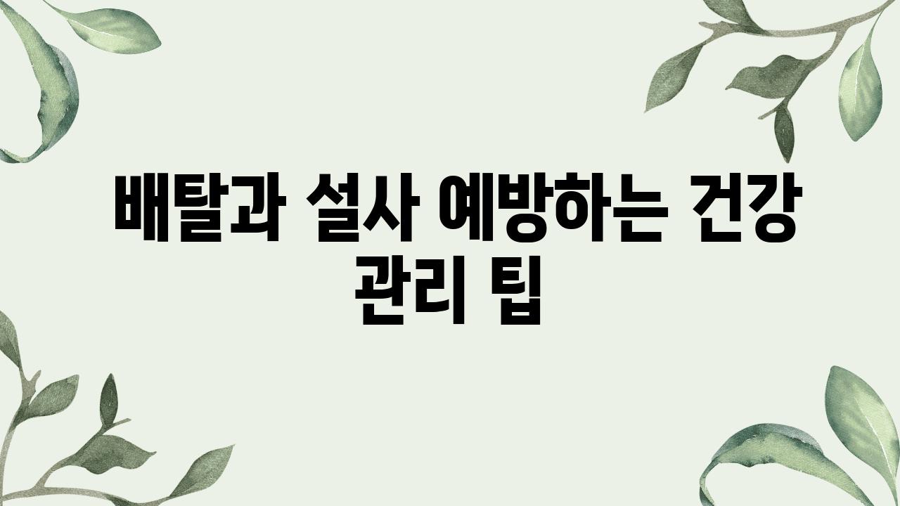  배탈과 설사 예방하는 건강 관리 팁