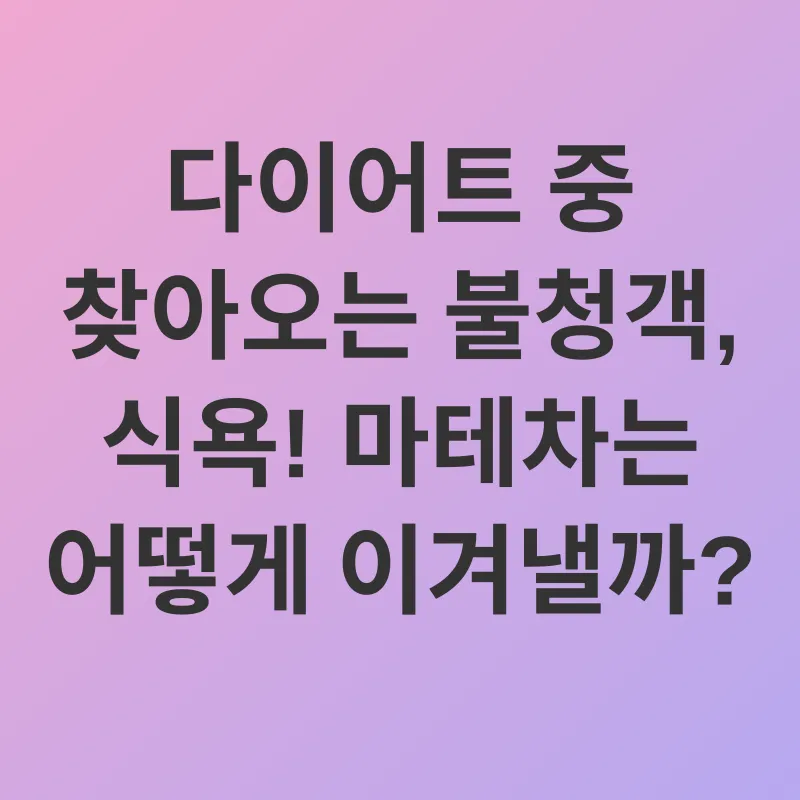 마테차 다이어트_2