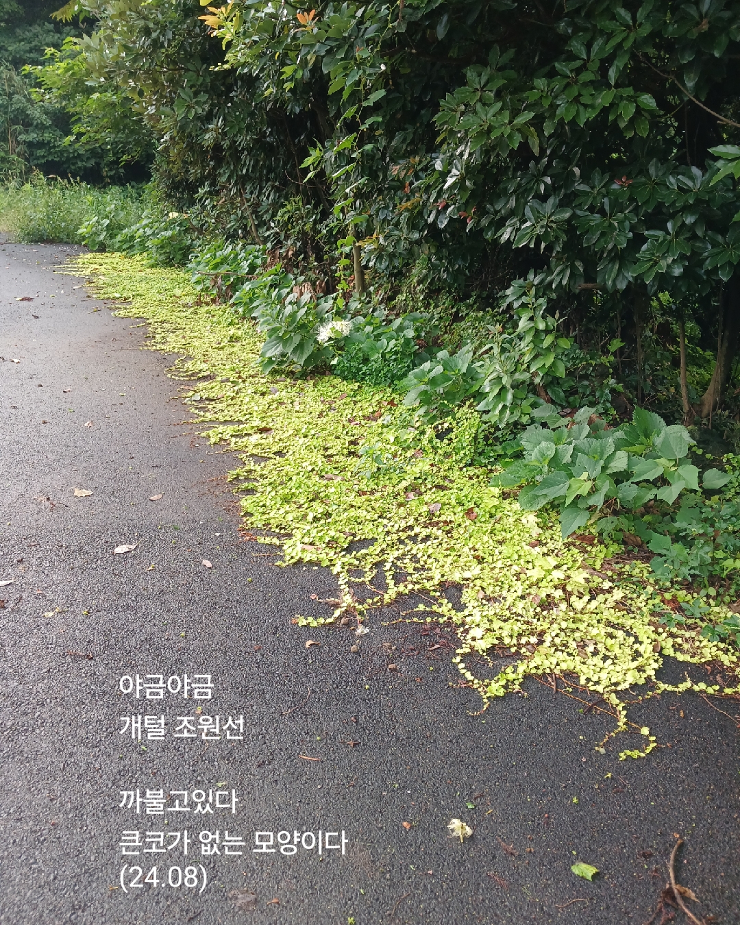 야금야금 이미지