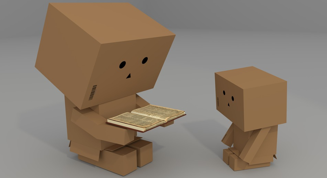  Carton 과 Box 무엇이 다를까?