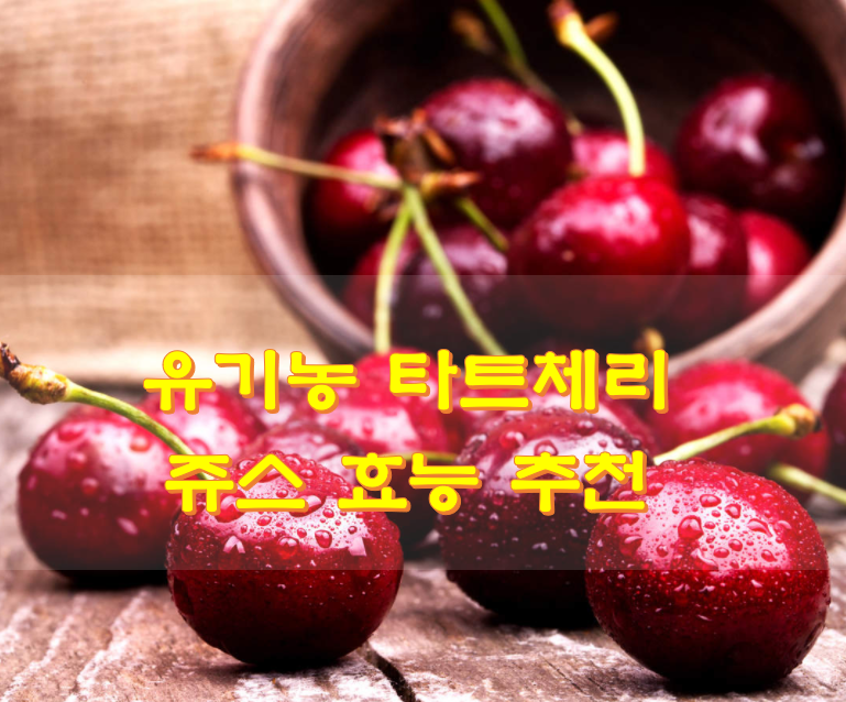  유기농 타트체리 쥬스 효능 추천