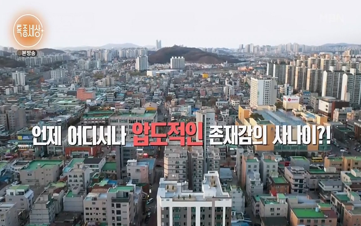 현장르포 특종세상.E526.220415p-NEXT.mp4_20220415_192050.929.jpg