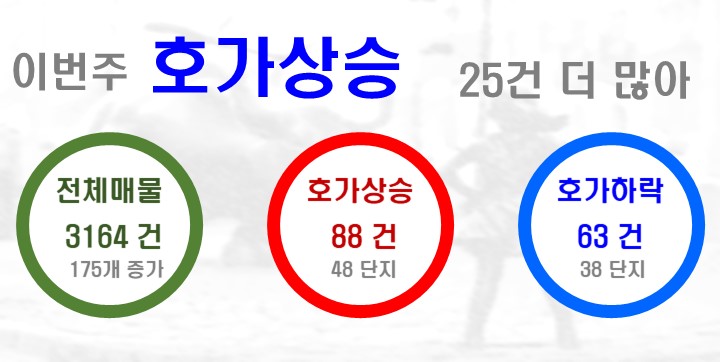 동민칼라 이미지