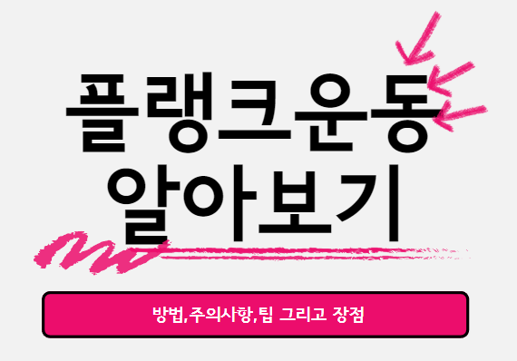  플랭크 운동의 모든 정보