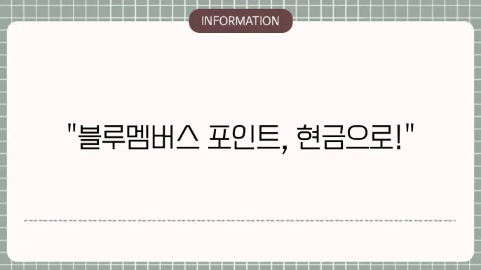 현대 블루멤버스 포인트몰 사용처 전환 적립 현금화 방법