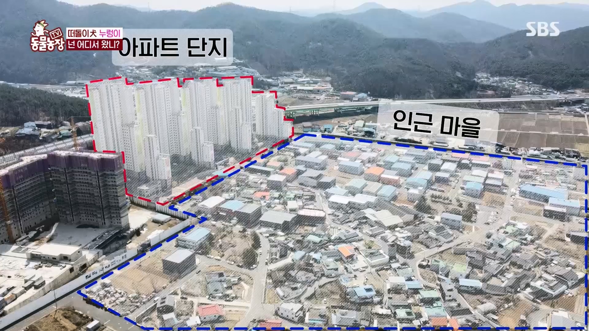TV 동물농장.E1170.240505p.H264-F1RST.mp4_20240505_153821.050.jpg