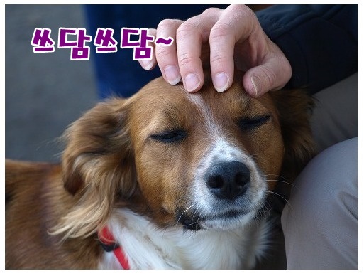 [무료꿈해몽]쓰다듬기;새*강아지쓰다듬기,아기쓰다듬기,여자애무하기,자신을애무해주는,수염쓰다듬기,조상님이쓰담쓰담 등.