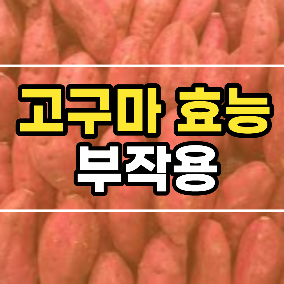  고구마 효능 10가지 및 부작용