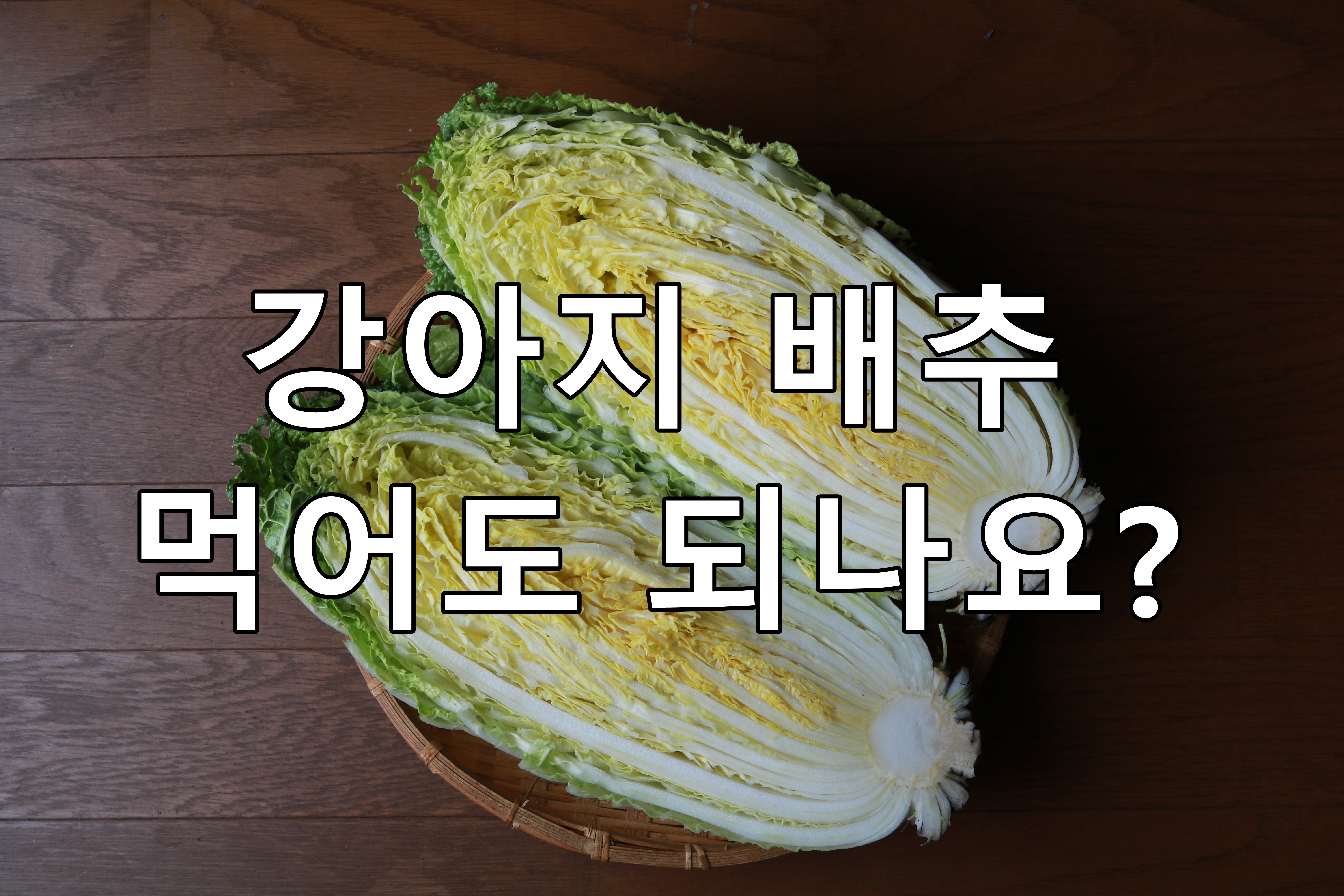 강아지 배추 먹어도 되나요?