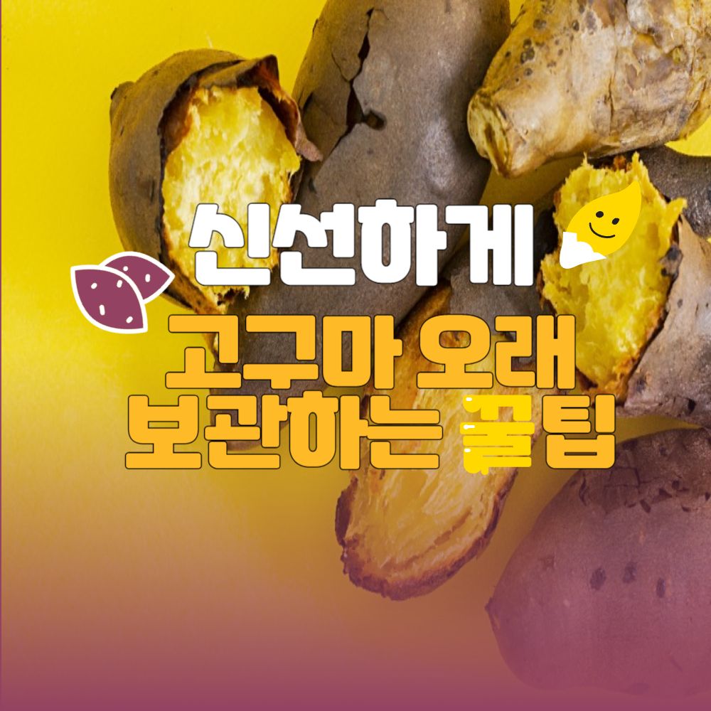 고구마 신선하게 오랫동안 보관하는 방법 소개글