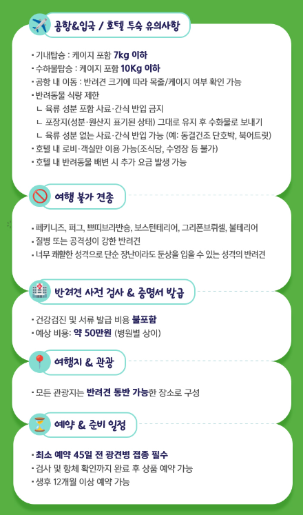 모두여행 이미지