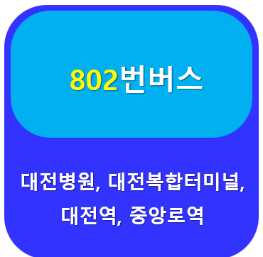 802번버스 썸네일