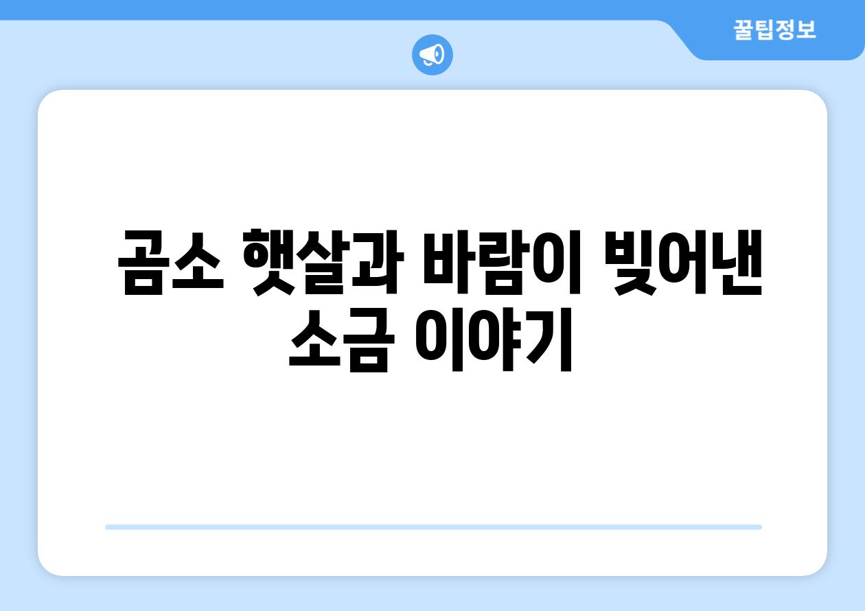  곰소 햇살과 바람이 빚어낸 소금 이야기