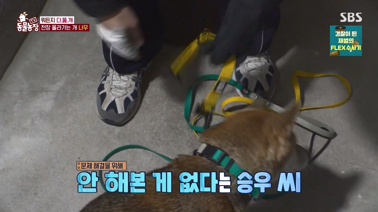 TV 동물농장.E1154.240115p-NEXT.mp4_20240114_184337.692.jpg