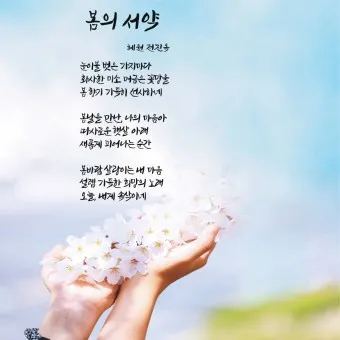 봄 시 모음 이해인 나태주 명시 모음_15