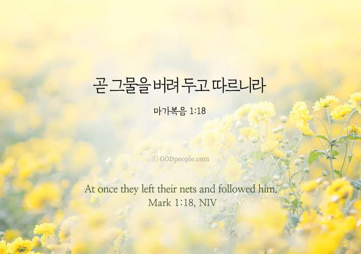 마가복음 15장 예수님의 헌신_7