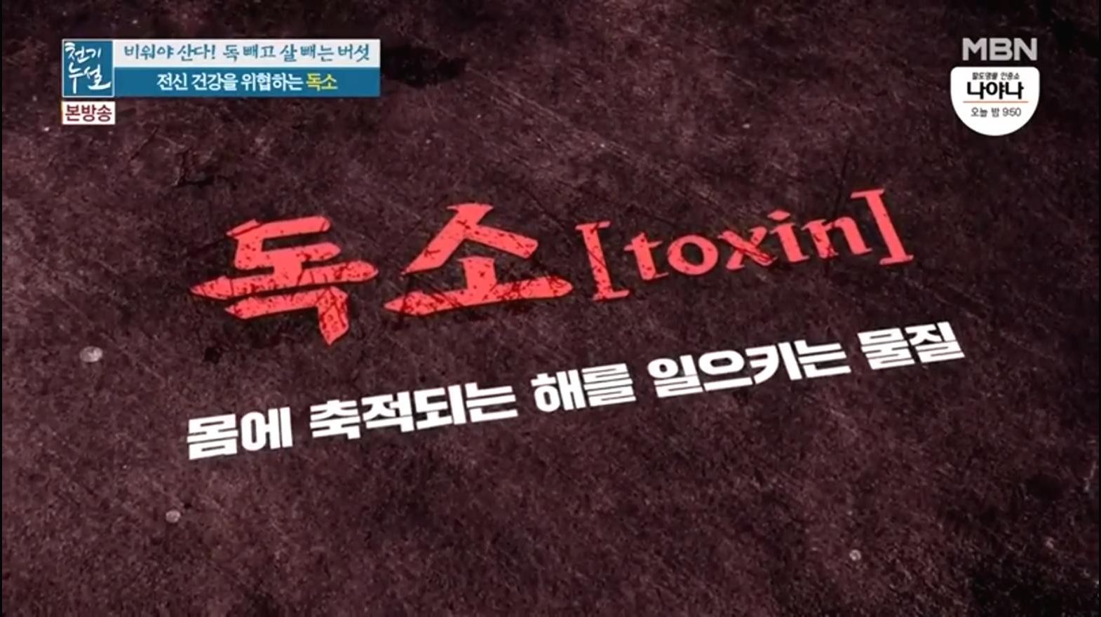  알고먹으면 더욱 더 배가되는 만성염증,지방독소,당독소까지 배출하는버섯의 효능(천기누설)