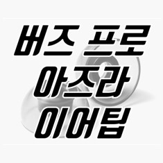 아즈라-크리스탈-이어팁-사이즈-후기