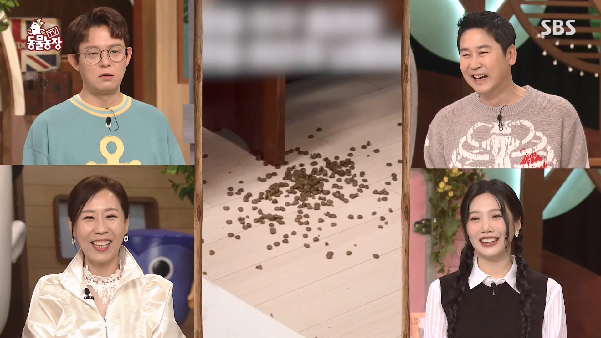 TV 동물농장.E1163.240317p-NEXT.mp4_20240317_171047.505.jpg