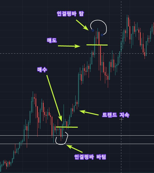 비트코인 프라이스 액션