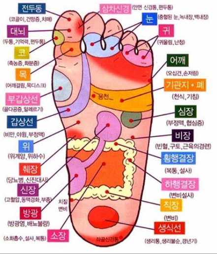 발의 경혈