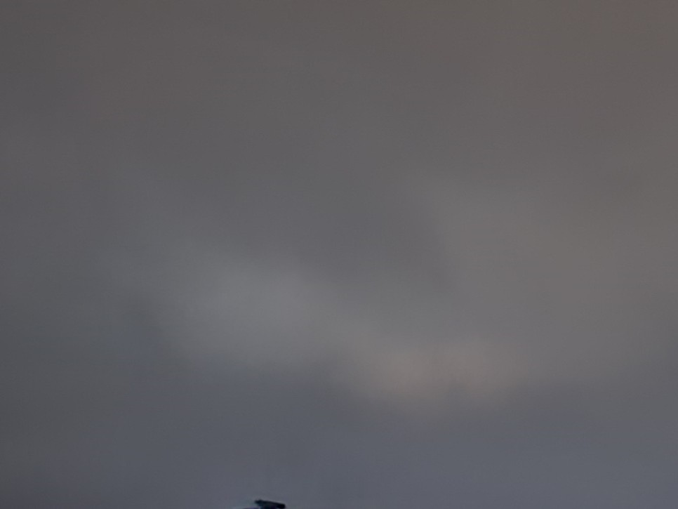 맞는 주기 별 상황 임신을 했을 때 그에 3