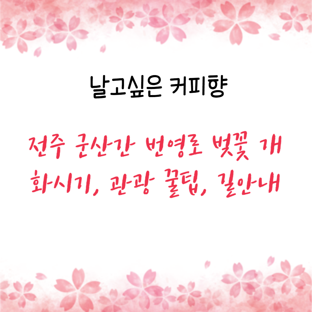 전주 군산간 번영로 벚꽃 개화시기&#44; 관광 꿀팁&#44; 길안내