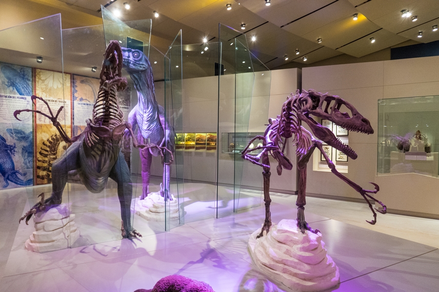 Best 해외여행지 순위 톱 10 해외여행 추천 론리 플래닛이 선택한 2022년 6