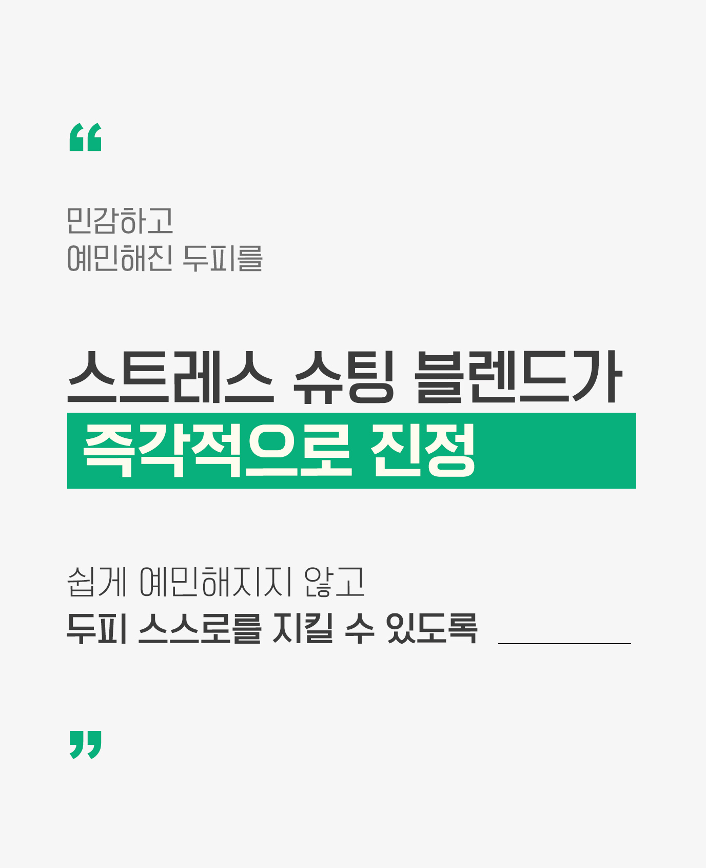 스캘프 이미지