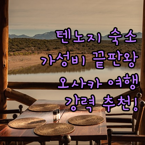 텐노지 슈퍼 호텔 숙박 후기 가성비 