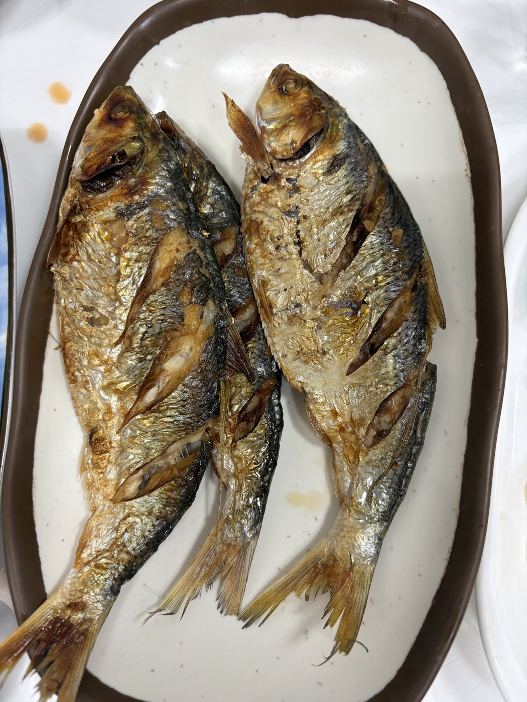 한샘이네 사진 2