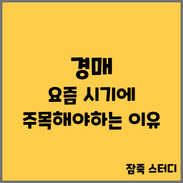  경매 요즘 시기에 주목해야 하는 이유