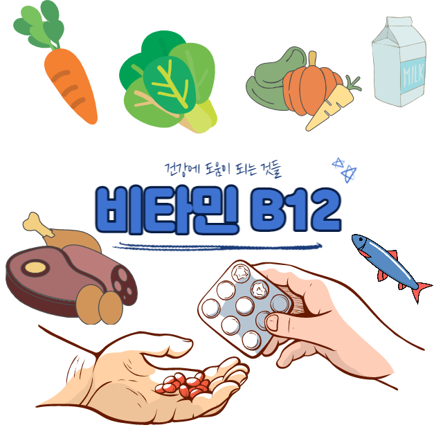 비타민B12