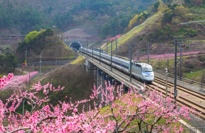 KTX 예매 내일로 패스 1만원 할인