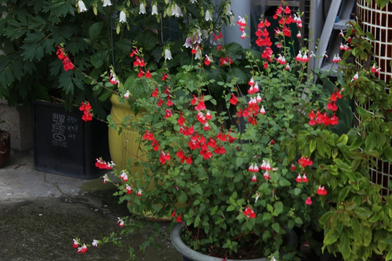 대한법률구조공단무료 법률상담 11