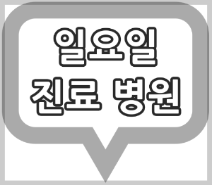 서울시 공휴일 진료 안과, 일요일 진료 안과