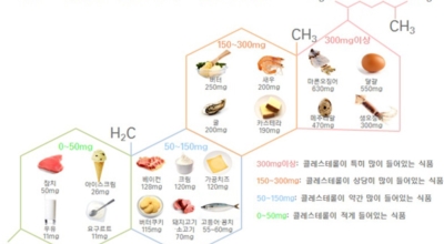 콜레스테롤 이미지