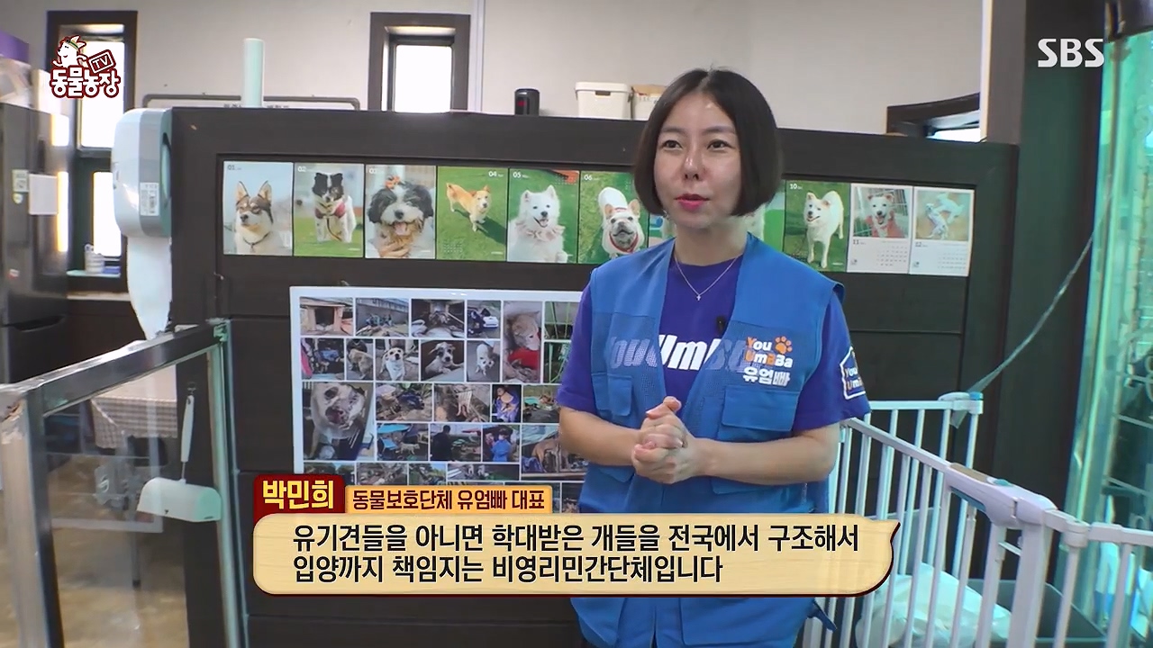 TV 동물농장.E1137.230911p-NEXT.mp4_20230910_182430.670.jpg