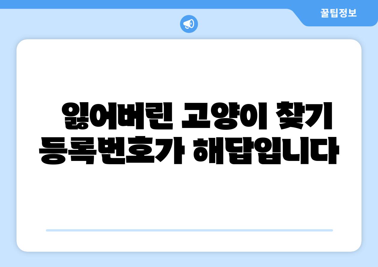 잃어버린 고양이 찾기 등록번호가 해답입니다