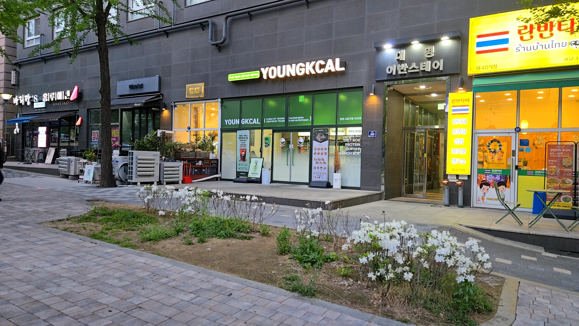 영칼로리카페 이미지
