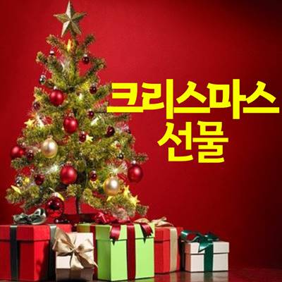  크리스마스 선물 추천