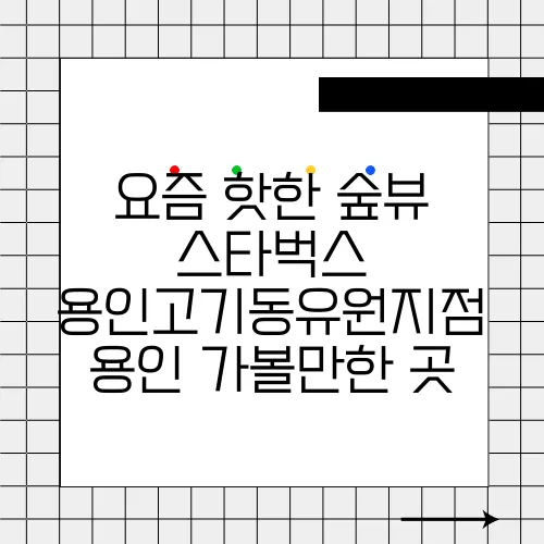 요즘 핫한 숲뷰 스타벅스 용인고기동유원지점 용인 가볼만한 곳