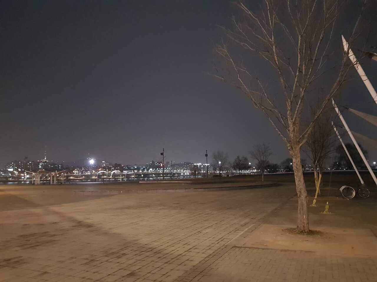 상상진화 이미지