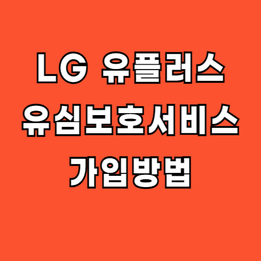 LG 유플러스 유심보호서비스 가입방법