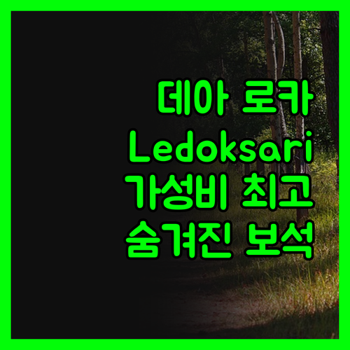 데아 로카 호텔.. Ledoksari