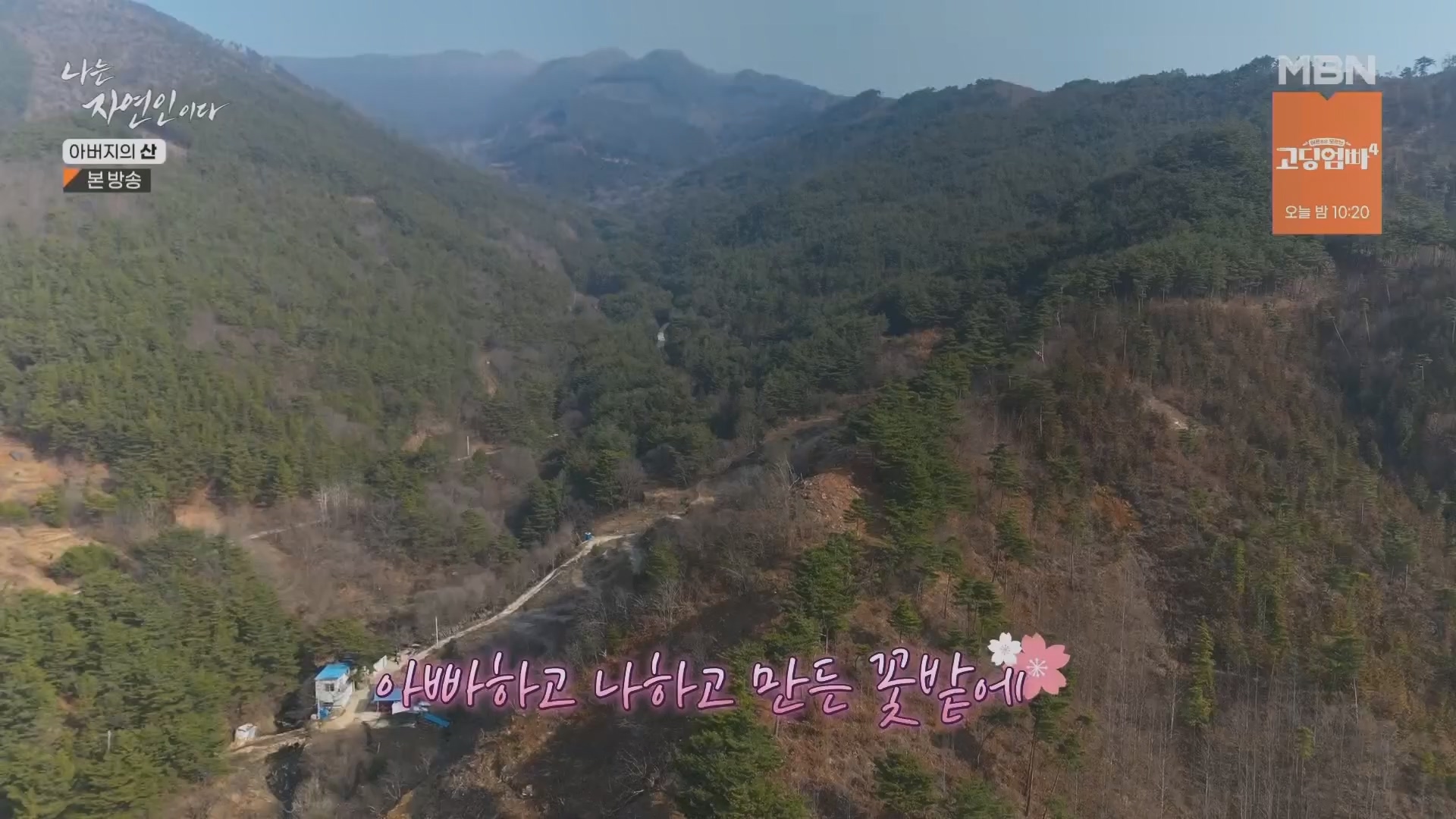 나는 자연인이다.E595.240228p.H264-F1RST.mp4_20240229_200114.520.jpg