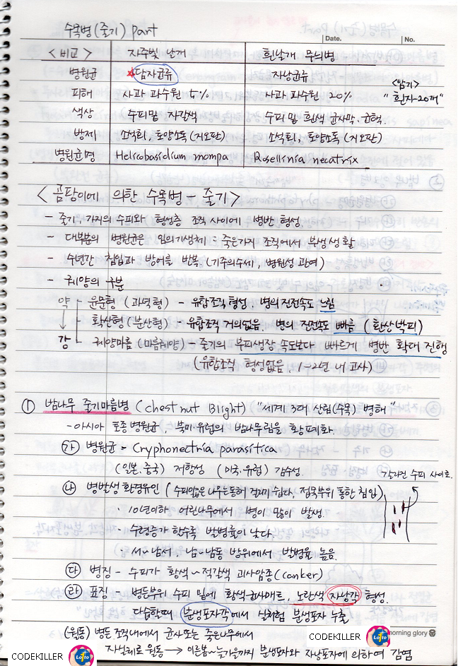  [수목병리학] 곰팡이에 의한 수목병 (줄기에 나타나는 수목병)