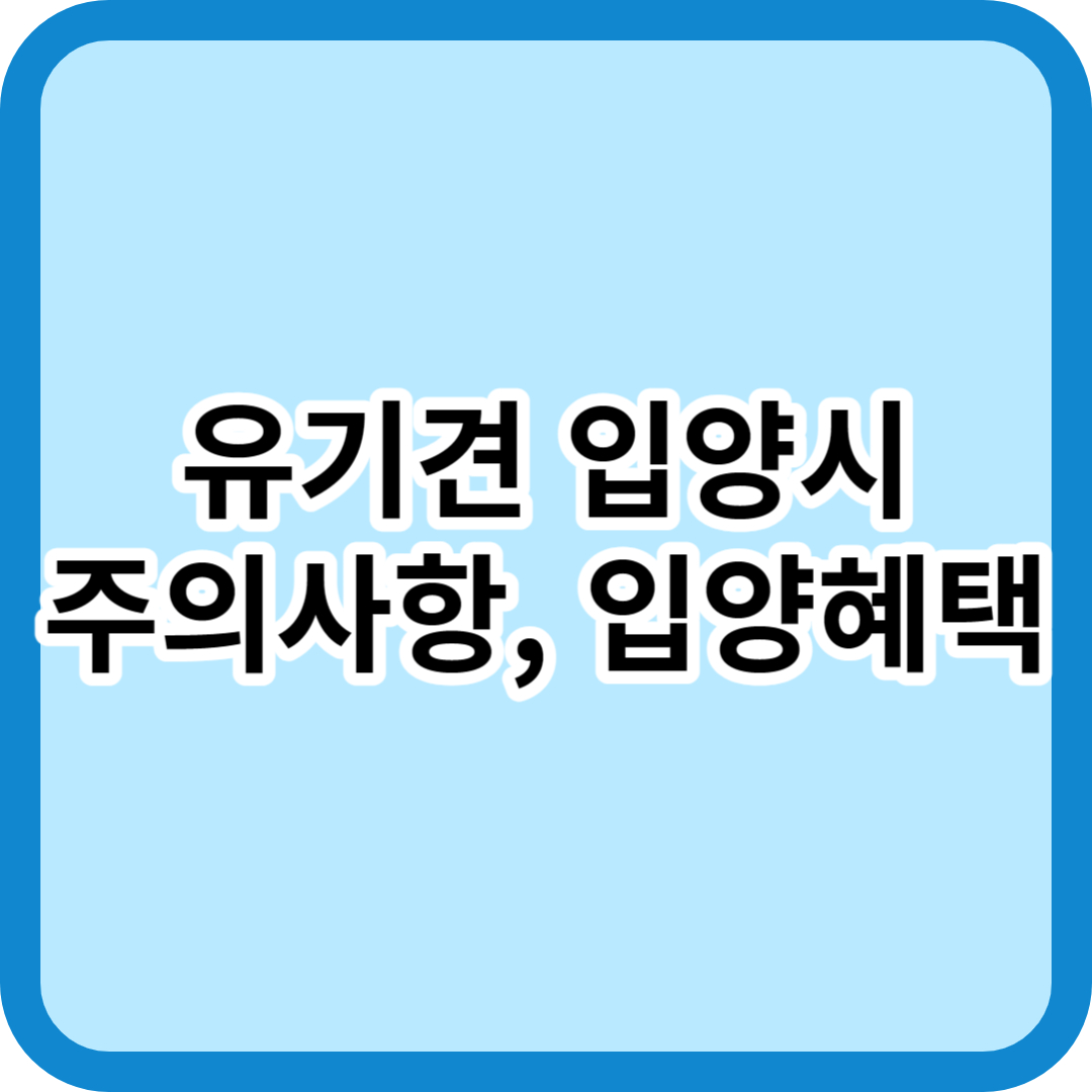 유기견 입양시 꼭 알아야 하는 것들(주의사항&#44; 입양혜택)