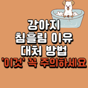 강아지-침-흘림-이유
강아지-침흘리는-이유